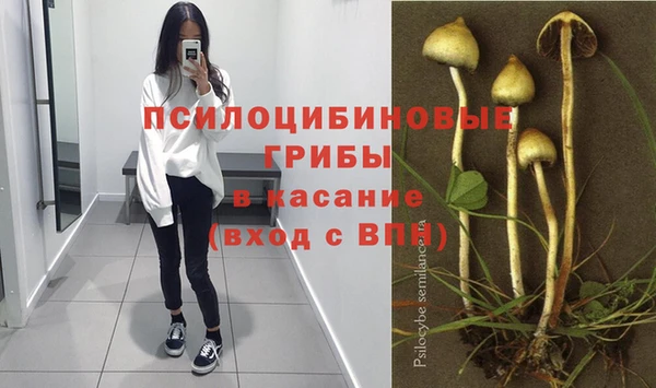 шишки Алексеевка