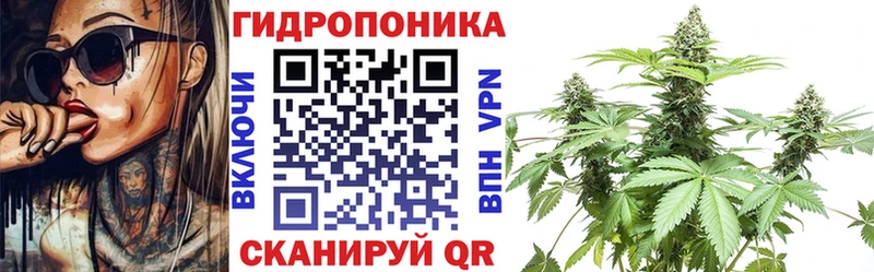 купить наркотики цена  Лесосибирск  Шишки марихуана Ganja 